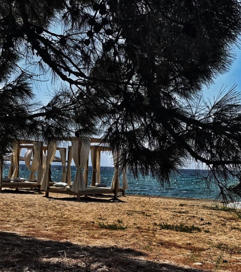 Villa Anais Prinos  Luaran gambar